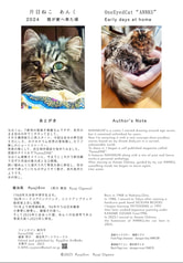 サンプル画像 No.4