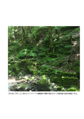 サンプル画像 No.3