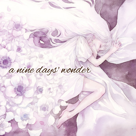 a nine days' wonder