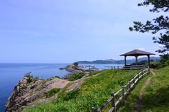 サンプル画像 No.5