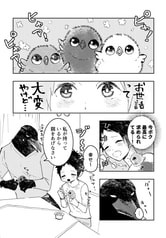 サンプル画像 No.5
