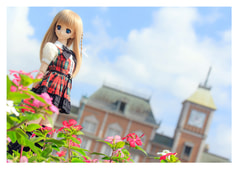 サンプル画像 No.3