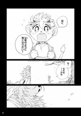 Sample No.5