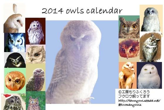 2014 Owls Clandar