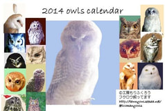 2014 Owls Clandar
