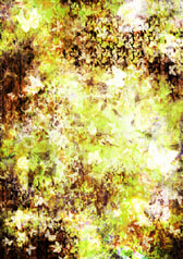 サンプル画像 No.6