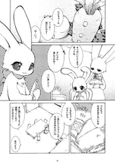 サンプル画像 No.2