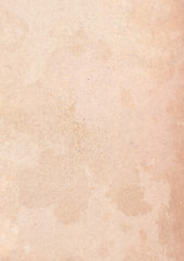 サンプル画像 No.5