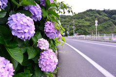 サンプル画像 No.3