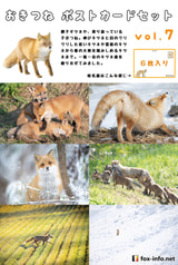 サンプル画像 No.5
