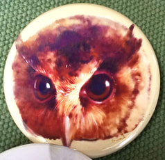スンダオオコノハズク44ｍｍ缶バッジ