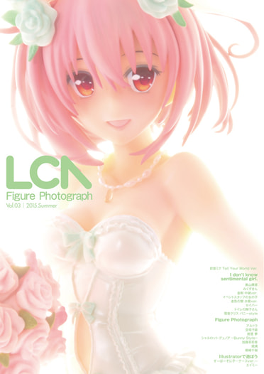 LCA figure Photograph Vol.03