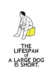 THE LIFESPAN of A LARGE DOG IS SHORT
