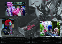 サンプル画像 No.5