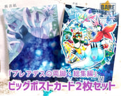 プレ脚ビッグポストカード＜２枚セット＞