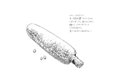 サンプル画像 No.3