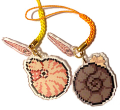 Nautilus/Ammonite Double Sided Acrylic Charm - Orthocone