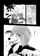 サンプル画像 No.6