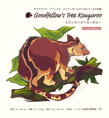 サンプル画像 No.5