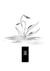 サンプル画像 No.3