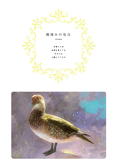 サンプル画像 No.2
