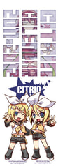 CITRINCALENDAR2011-2012