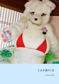 とある夏の1日