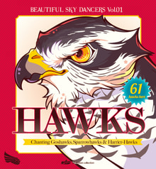 BEAUTIFUL SKY DANCERS vol.1 "HAWKS"
