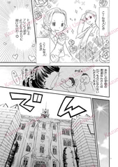 サンプル画像 No.5