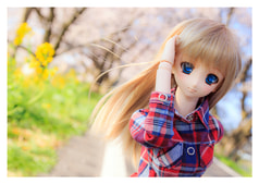 サンプル画像 No.2