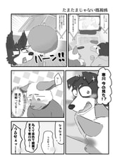 サンプル画像 No.2