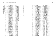 Sample No.4