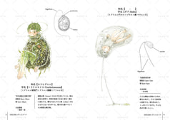 サンプル画像 No.2