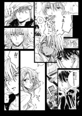 サンプル画像 No.5
