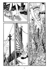 サンプル画像 No.2