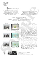 サンプル画像 No.1