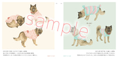 サンプル画像 No.5