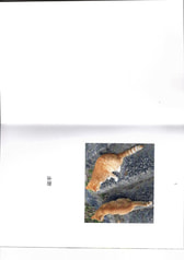 サンプル画像 No.1