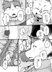 Sample No.5