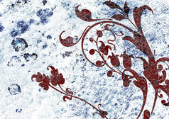 サンプル画像 No.5