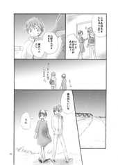 Sample No.4
