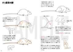 サンプル画像 No.3