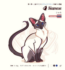サンプル画像 No.4