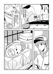 サンプル画像 No.2