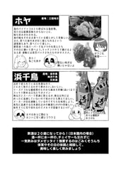 サンプル画像 No.3