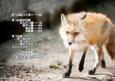 サンプル画像 No.5
