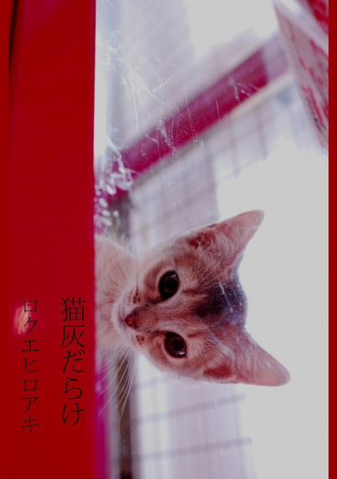 猫灰だらけ