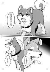 サンプル画像 No.5