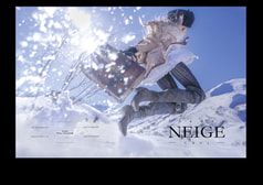 fee des neige