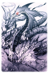 魔物図鑑セット+付録（シードラゴンクリアファイル）